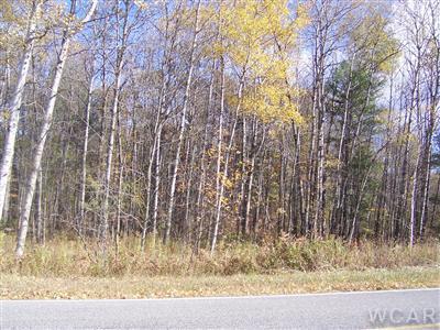 27 South Deer Lake Road Reed City, MI 49677 - Photo 4 of 5 Additional Photo
