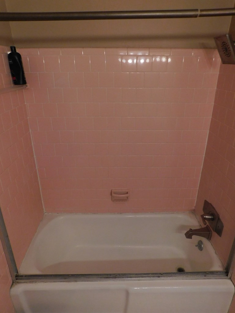 153 Joe Morris Road Kenly, NC 27542 - Photo 28 of 31 Hall Bathroom with Tub/Shower
