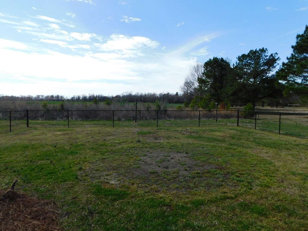153 Joe Morris Road Kenly, NC 27542 - Photo 8 of 31 Back Yard
