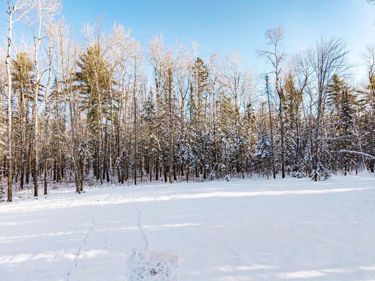 1437 Severson Road Foxboro, WI 54836 - Photo 32 of 48