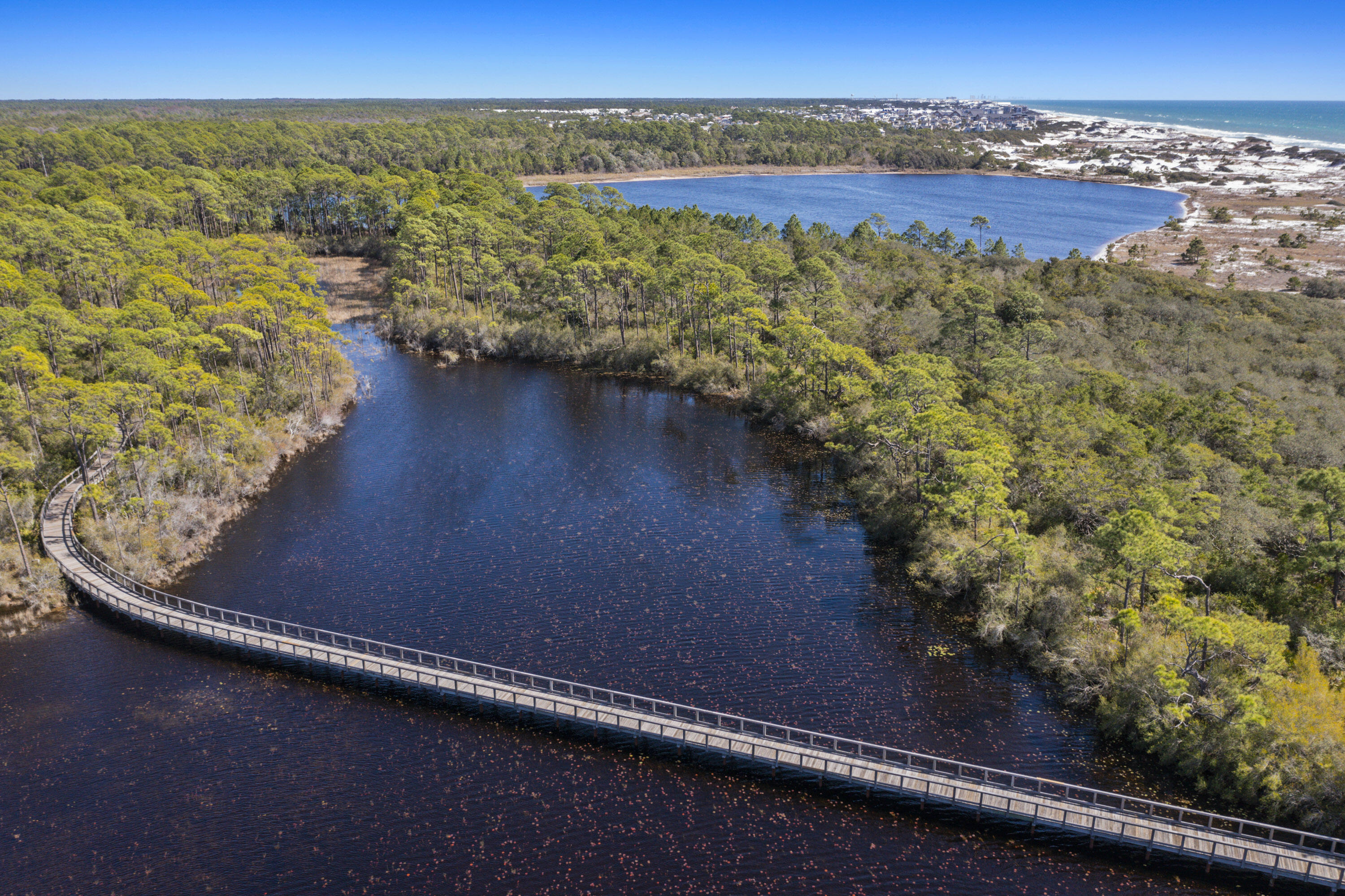 61 Sheepshank Lane Santa Rosa Beach, FL 32459 - Photo 65 of 74 DJI_0332