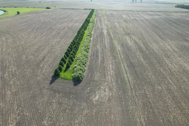 $290,000 | Tbd West 1st Avenue, Lake Wilson, MN 56151