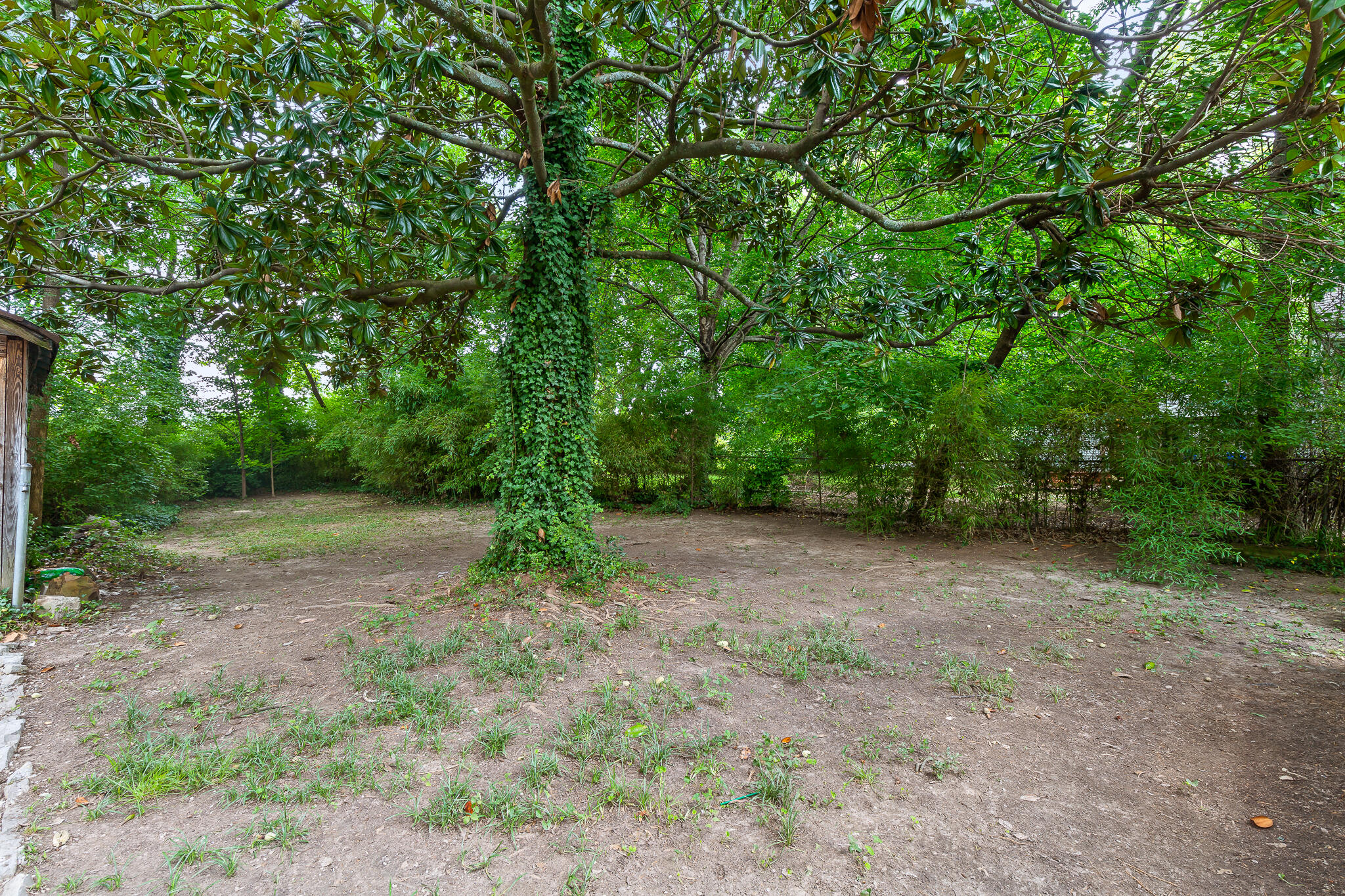 201 South Moore Road Chattanooga, TN 37411 - Photo 24 of 27 SMoore-22