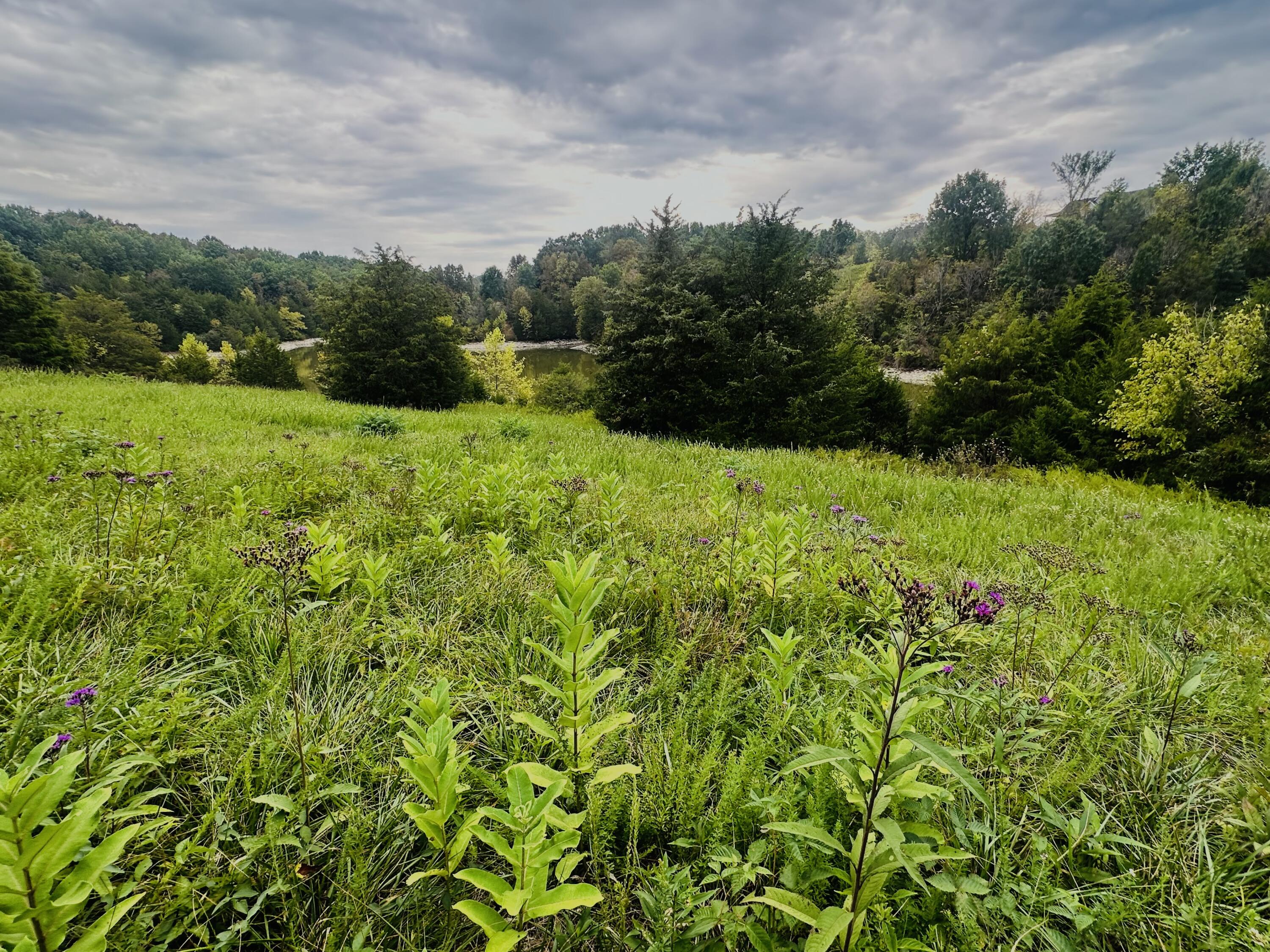 203 Chaplin Road Willisburg, KY 40078 - Photo 56 of 77 IMG_8325