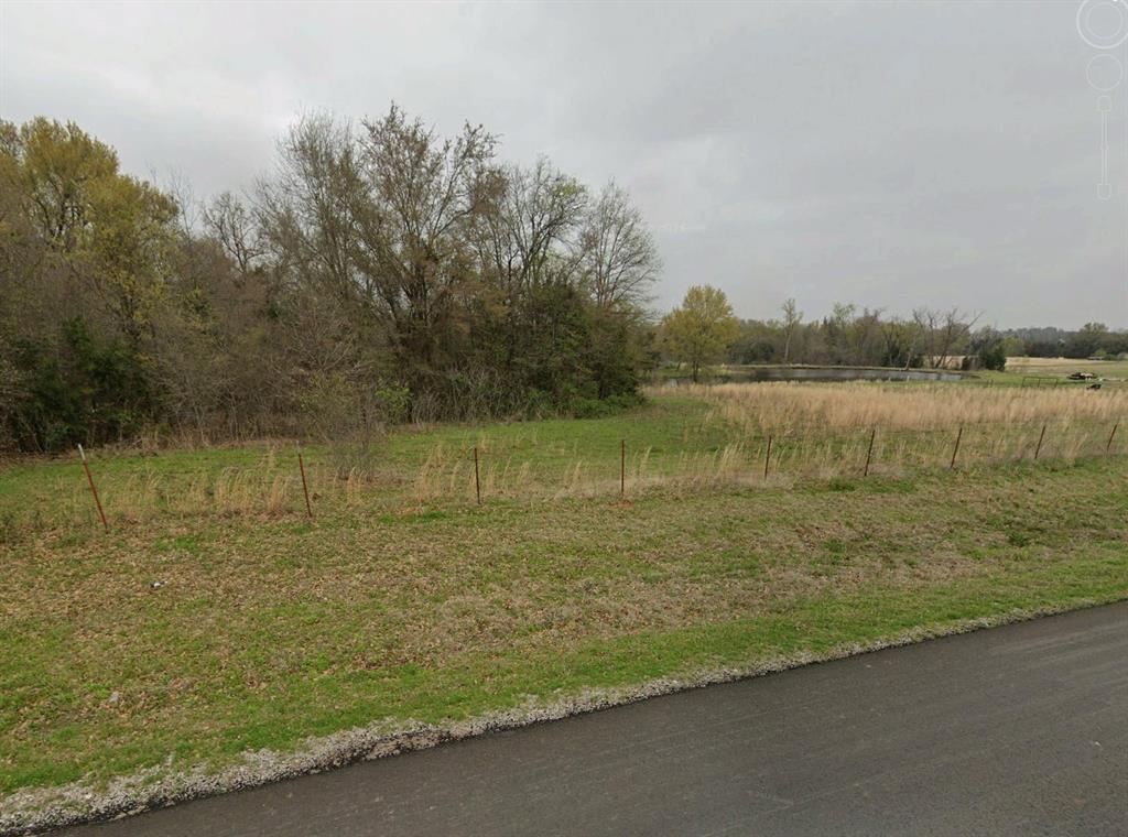 2 County Road 3204 Wills Point, TX 75169 - Photo 2 of 11 view from the left side from the street