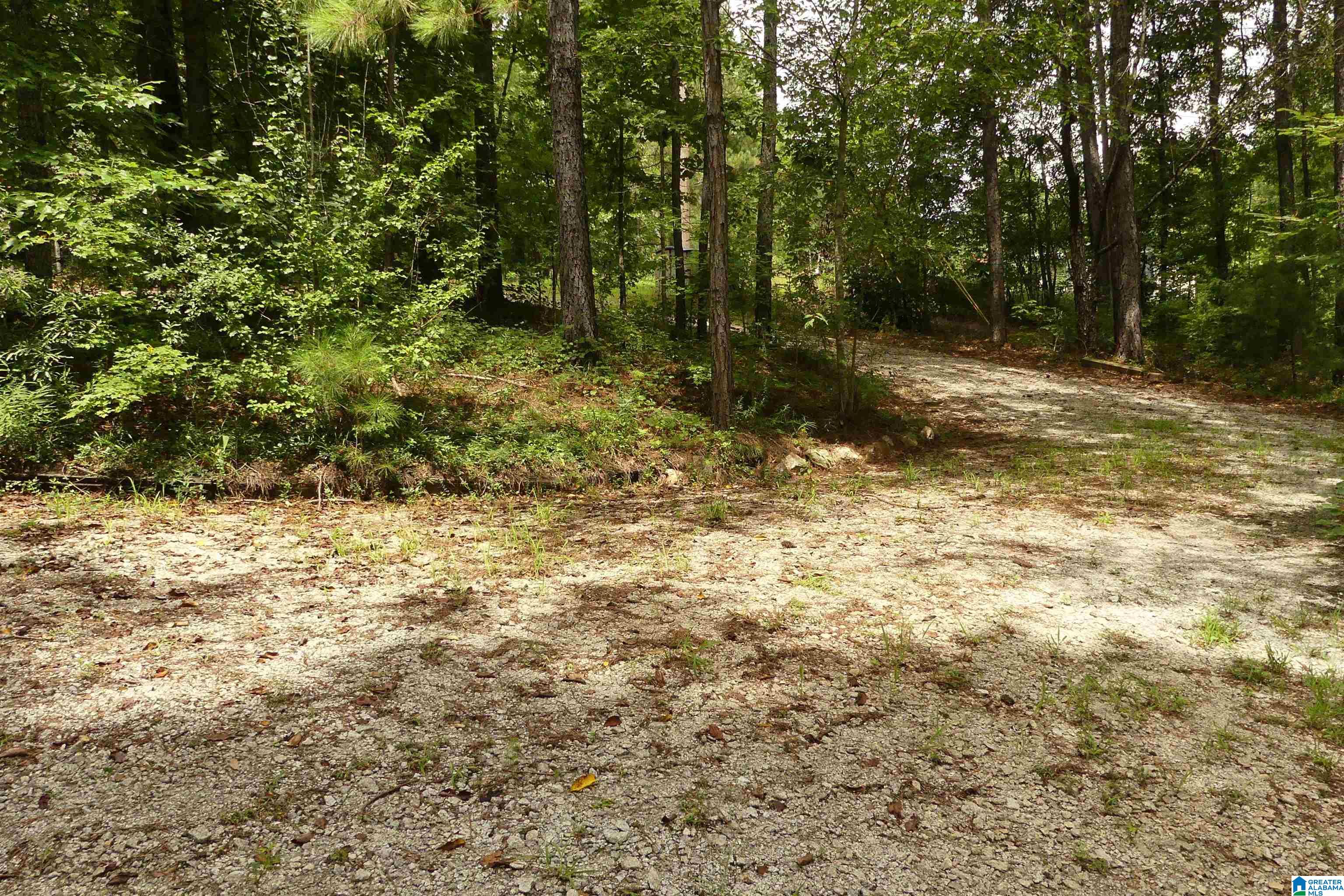 248 Pine Ridge Road Wedowee, AL 36278 - Photo 30 of 30