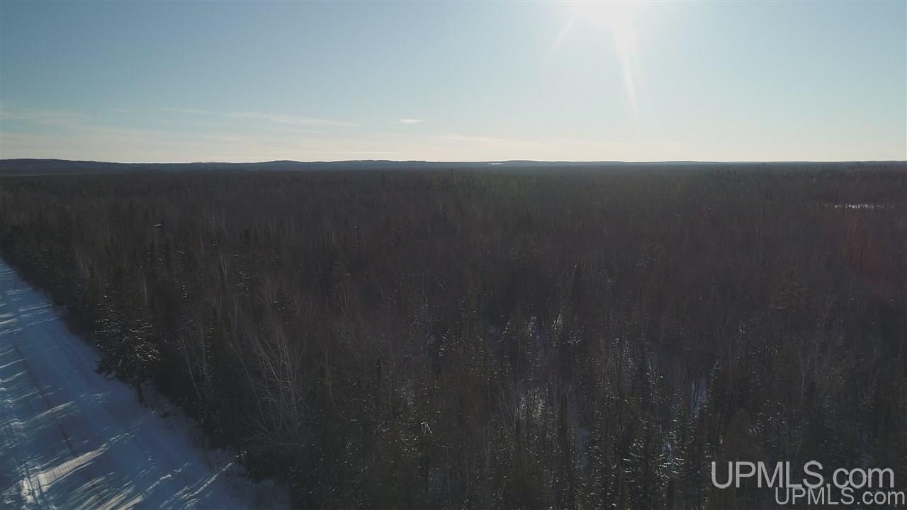 80-acres Co Rd N415 McMillan, MI 49853 - Photo 13 of 36