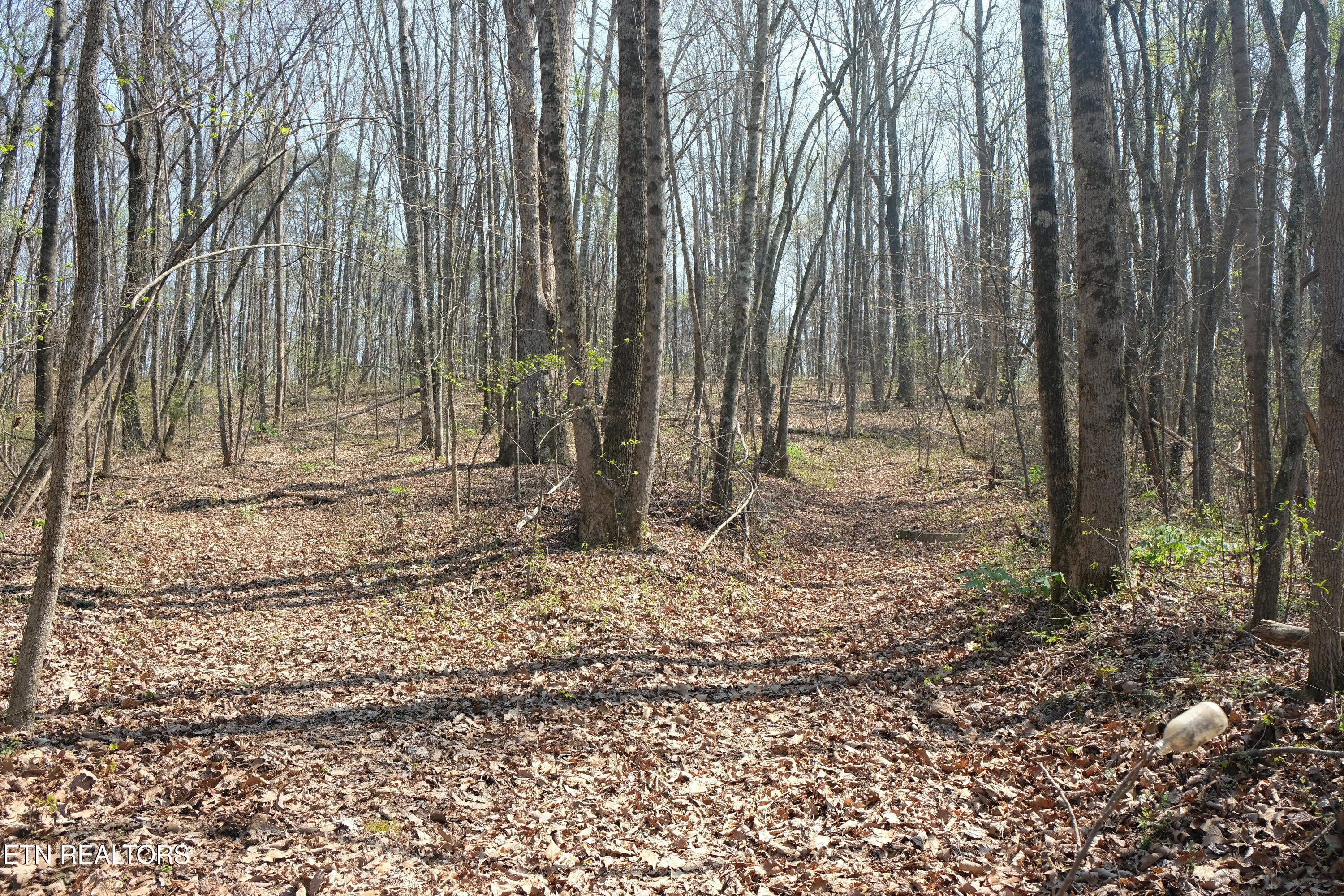 3578 Wolf Creek Road Spring City, TN 37381 - Photo 5 of 16 DSCF4715