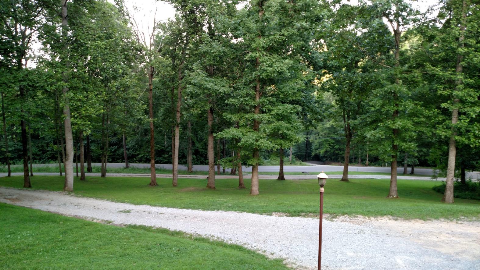 2181 Riverton Road Jamestown, TN 38556 - Photo 14 of 16 14 MATURE TREES & DRIVEWAY