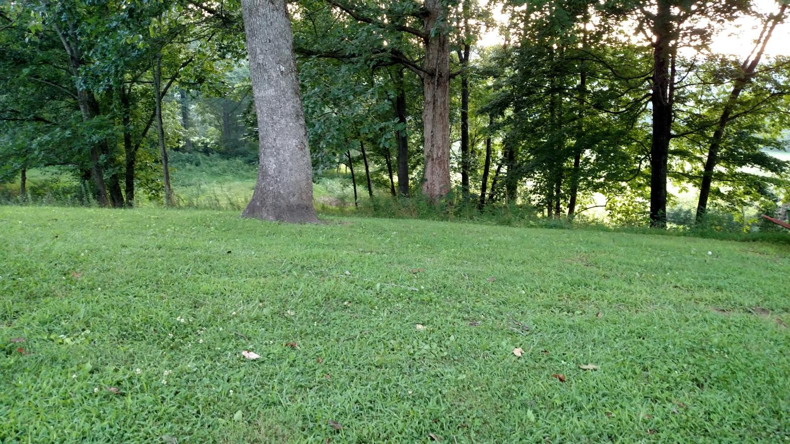 2181 Riverton Road Jamestown, TN 38556 - Photo 15 of 16 15 LAWN