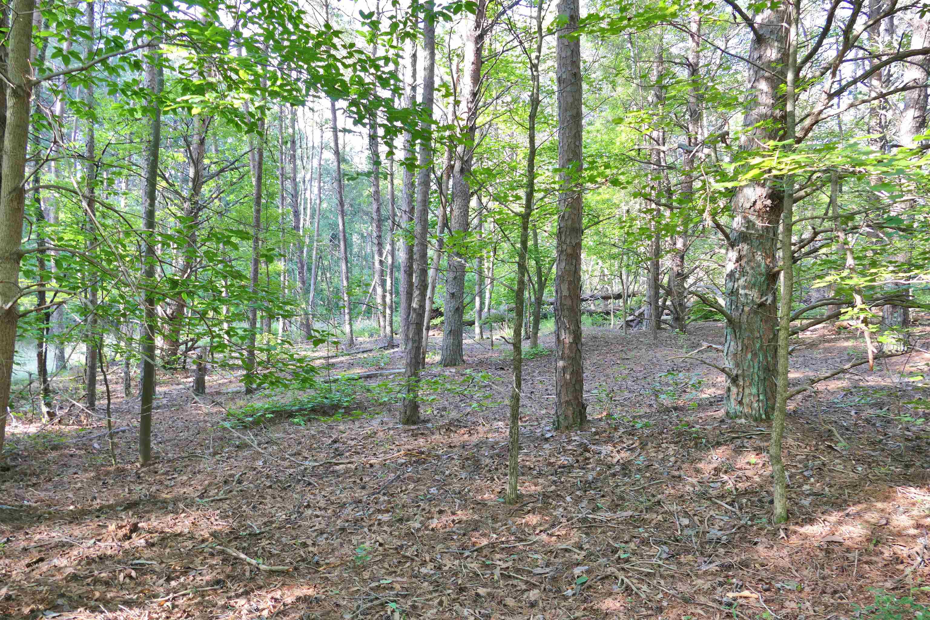 240 Coyl Road Gaffney, SC 29340 - Photo 7 of 13