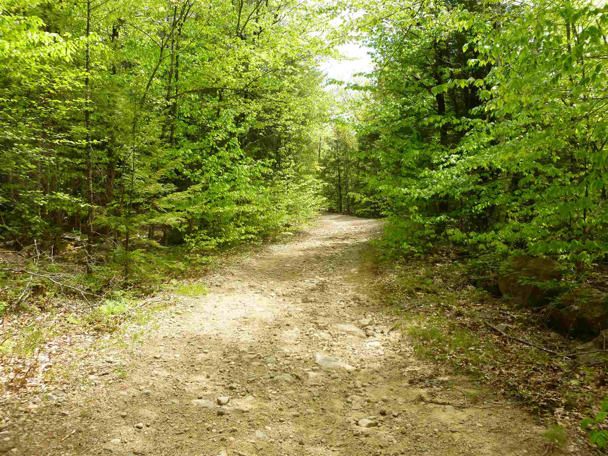 11 Beaver Ridge Road Center Barnstead, NH 03225 - Photo 5 of 10