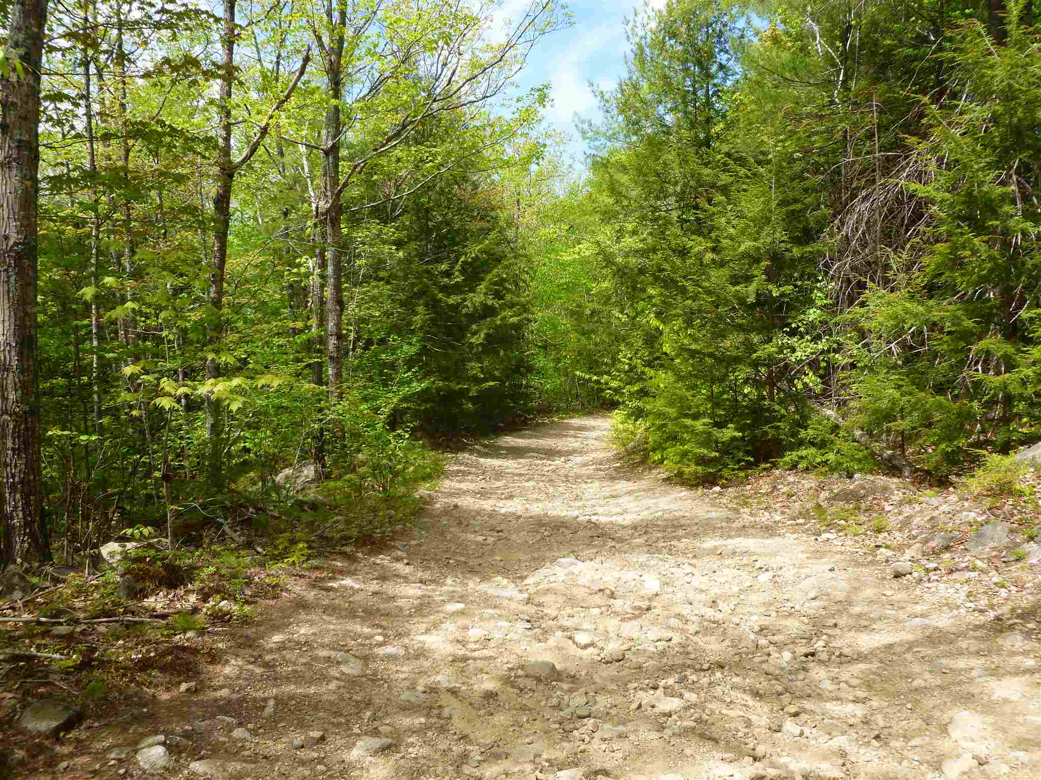 11 Beaver Ridge Road Center Barnstead, NH 03225 - Photo 6 of 10