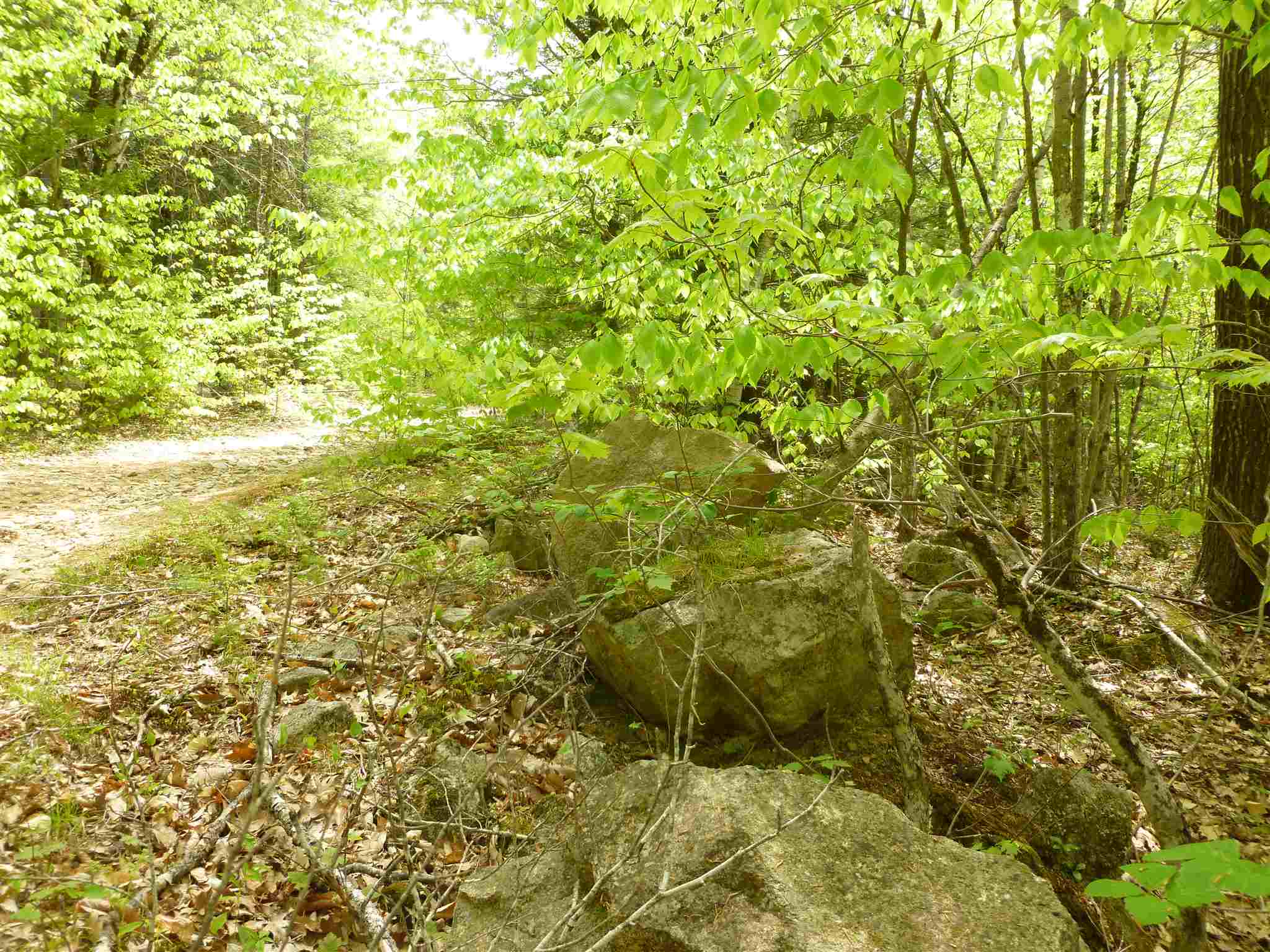 11 Beaver Ridge Road Center Barnstead, NH 03225 - Photo 7 of 10