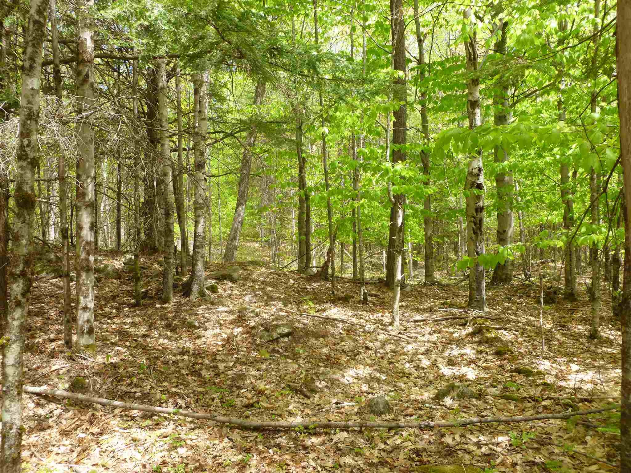 11 Beaver Ridge Road Center Barnstead, NH 03225 - Photo 8 of 10