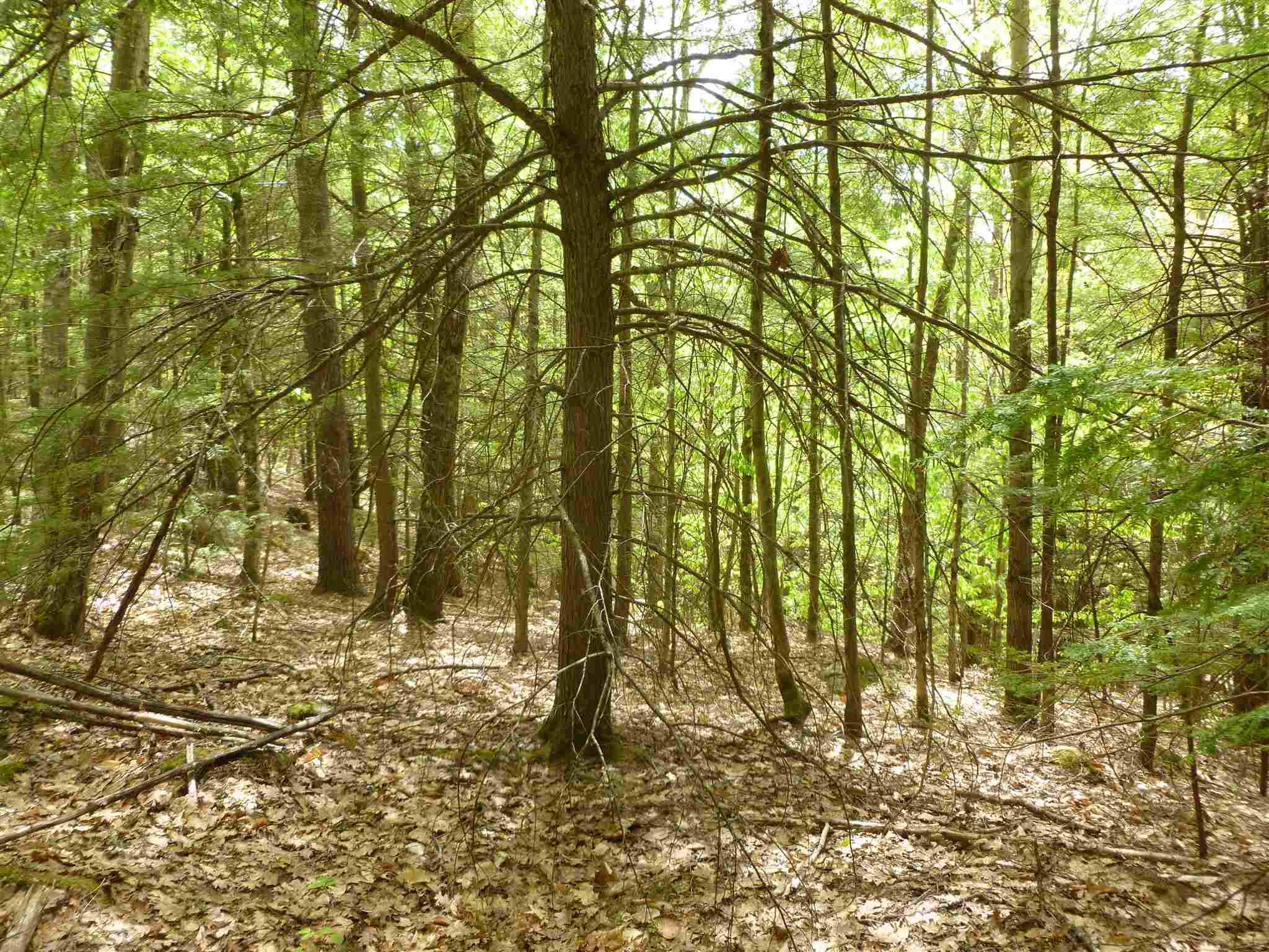 11 Beaver Ridge Road Center Barnstead, NH 03225 - Photo 9 of 10