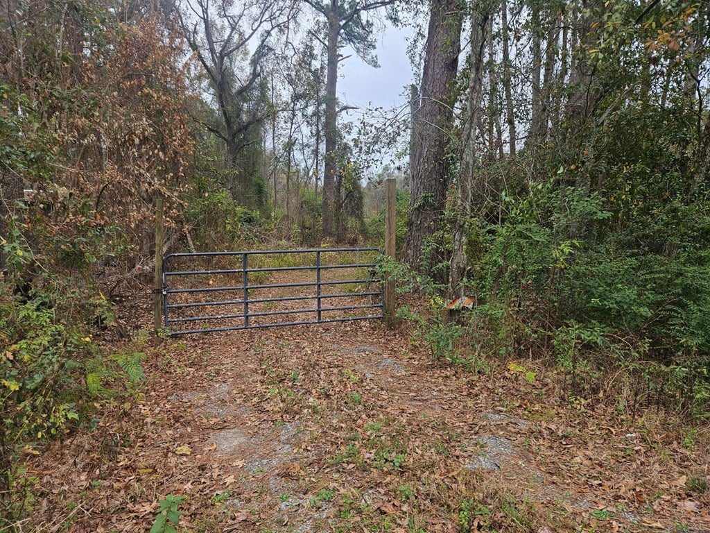 4126 Grooverville Road Quitman, GA 31643 - Photo 2 of 3 Gallery Image 2