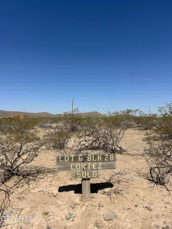 a view of a covered with snow in the background