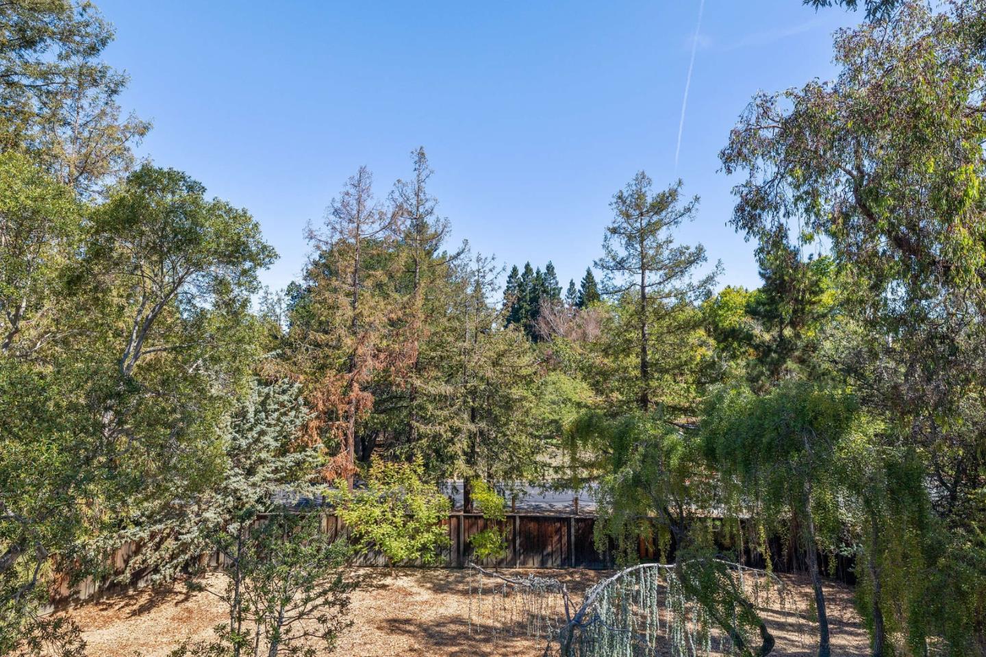 729 Tolman Drive Stanford, CA 94305 - Photo 30 of 48 a view of a city with flower plants