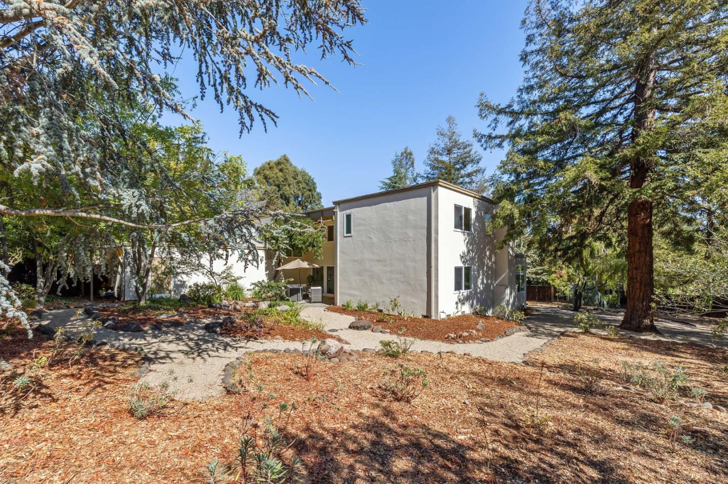 729 Tolman Drive Stanford, CA 94305 - Photo 43 of 48 a backyard of a house with large trees