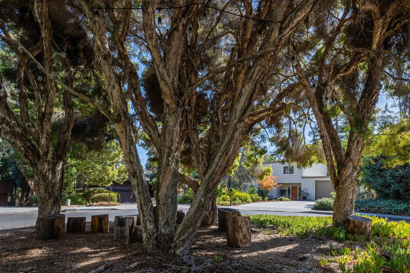 729 Tolman Drive Stanford, CA 94305 - Photo 45 of 48 a front view of a house with a yard