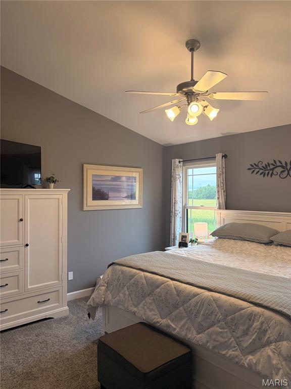 535 Shamrock Drive Waterloo, IL 62298 - Photo 26 of 39