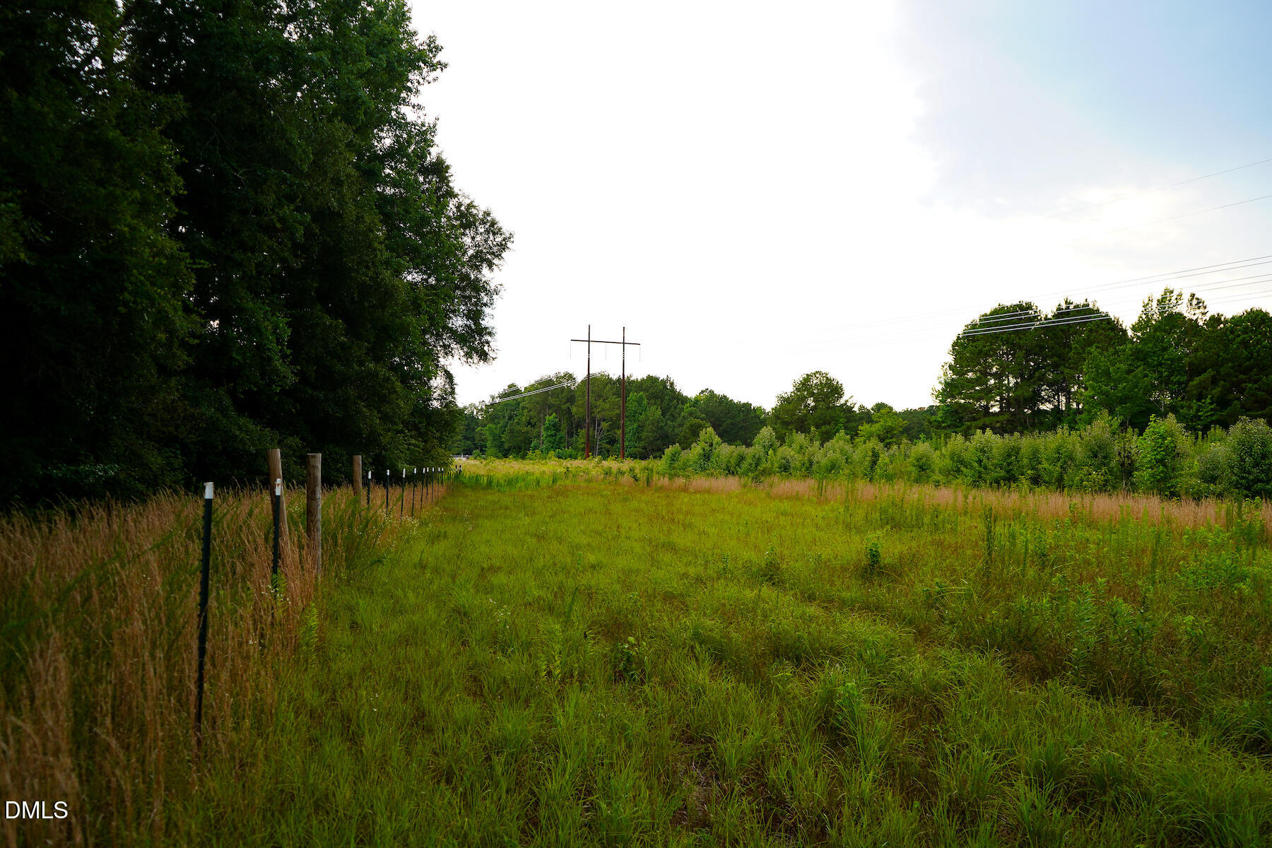 19.2-acres Bunnlevel Erwin Road Erwin, NC 28339 - Photo 22 of 34 22 Paras 19.3 Acres Bunnlevel Erwin Rd