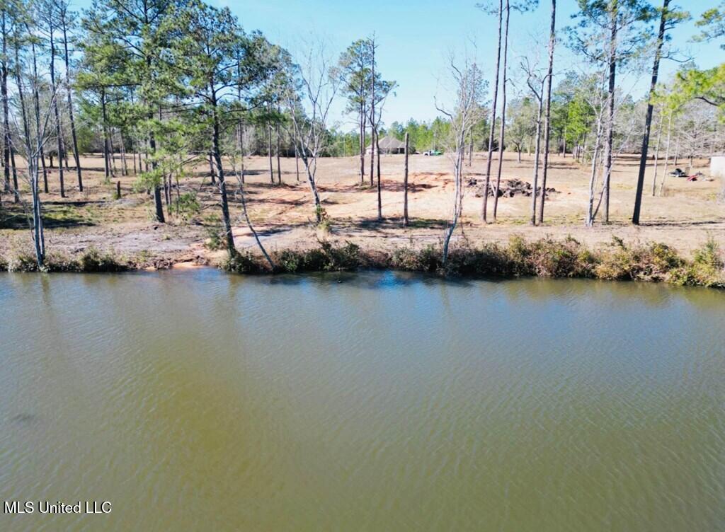Cypress Place Perkinston, MS 39573 - Photo 12 of 18 cp8