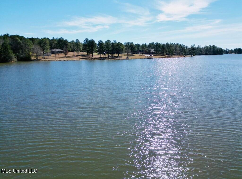 Cypress Place Perkinston, MS 39573 - Photo 14 of 18 cp6