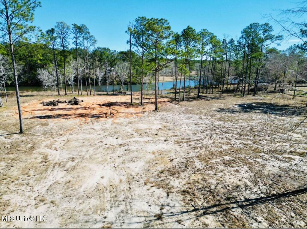 Cypress Place Perkinston, MS 39573 - Photo 16 of 18 cp4
