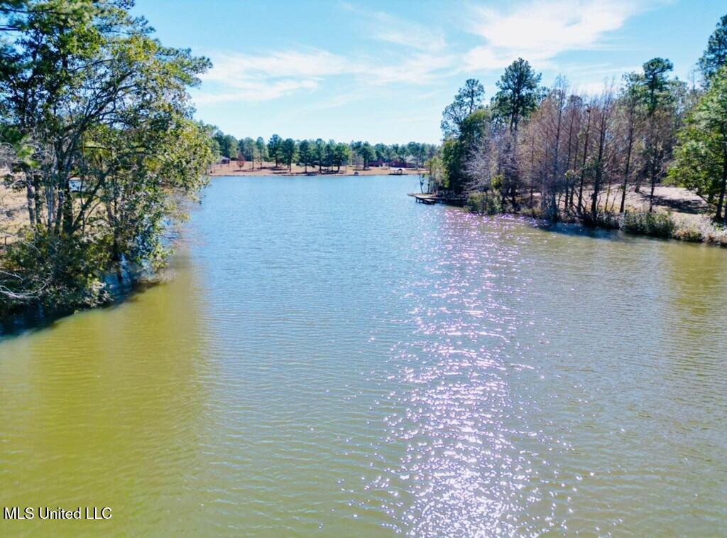 Cypress Place Perkinston, MS 39573 - Photo 2 of 18 cp10
