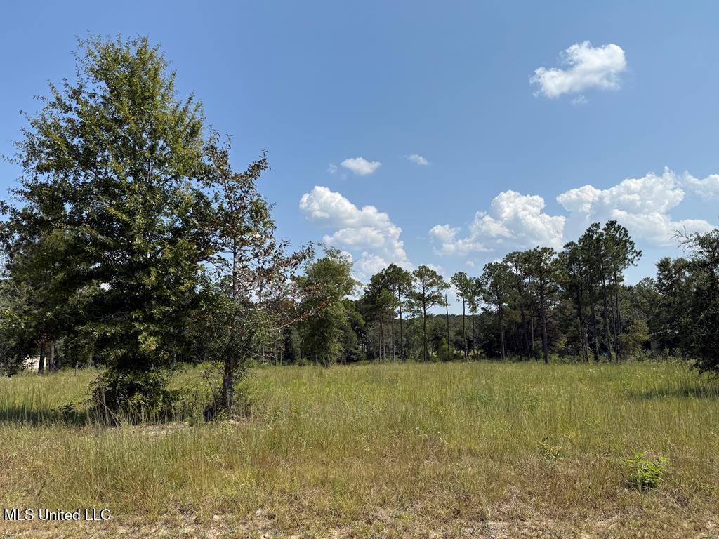 Cypress Place Perkinston, MS 39573 - Photo 3 of 18 cp11