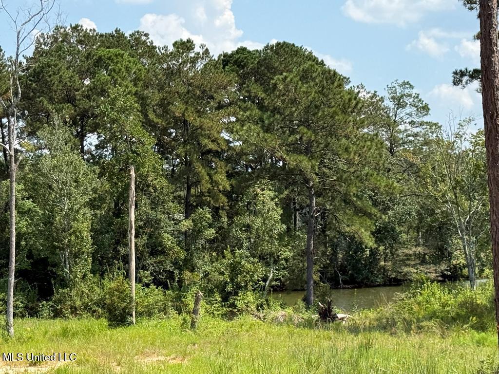 Cypress Place Perkinston, MS 39573 - Photo 4 of 18 cp12