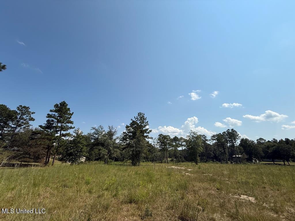 Cypress Place Perkinston, MS 39573 - Photo 5 of 18 cp18