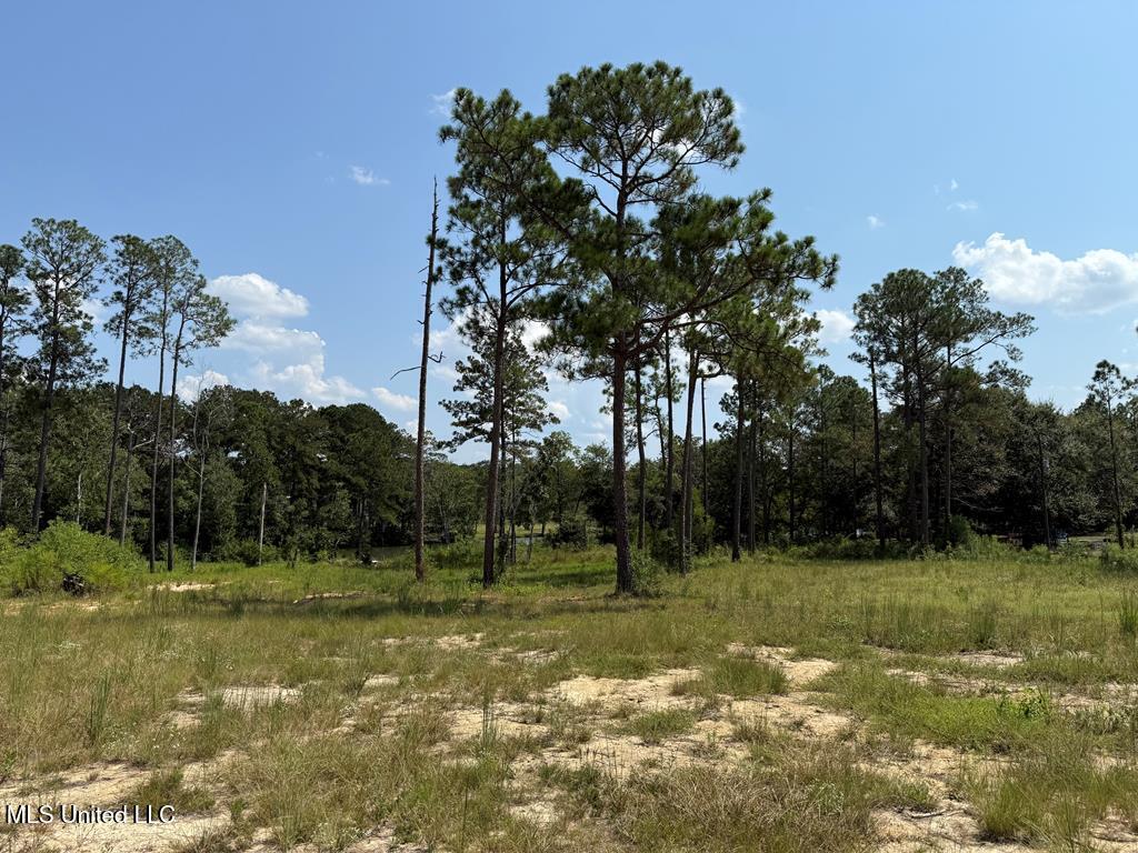 Cypress Place Perkinston, MS 39573 - Photo 6 of 18 cp17