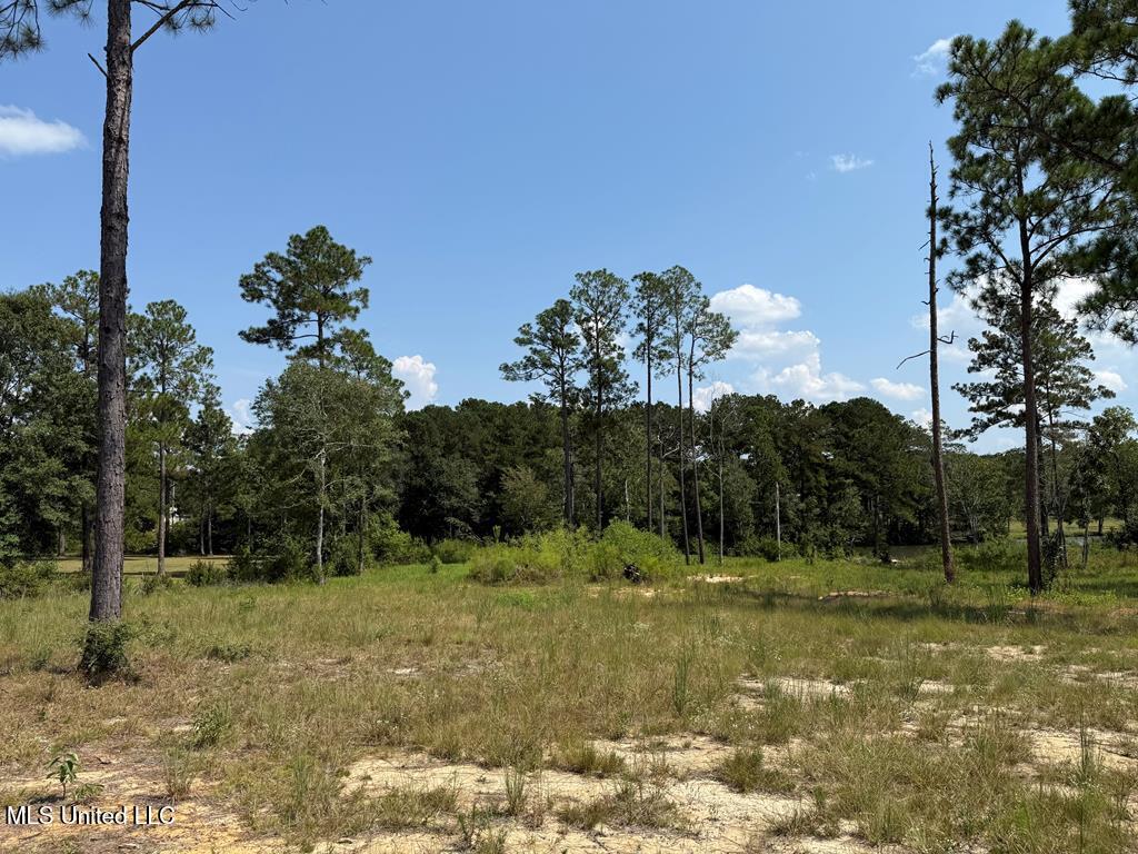 Cypress Place Perkinston, MS 39573 - Photo 7 of 18 cp16