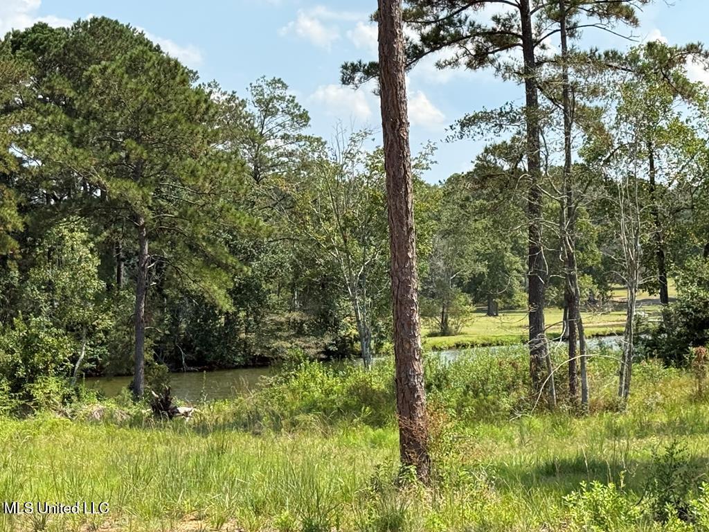 Cypress Place Perkinston, MS 39573 - Photo 8 of 18 cp15