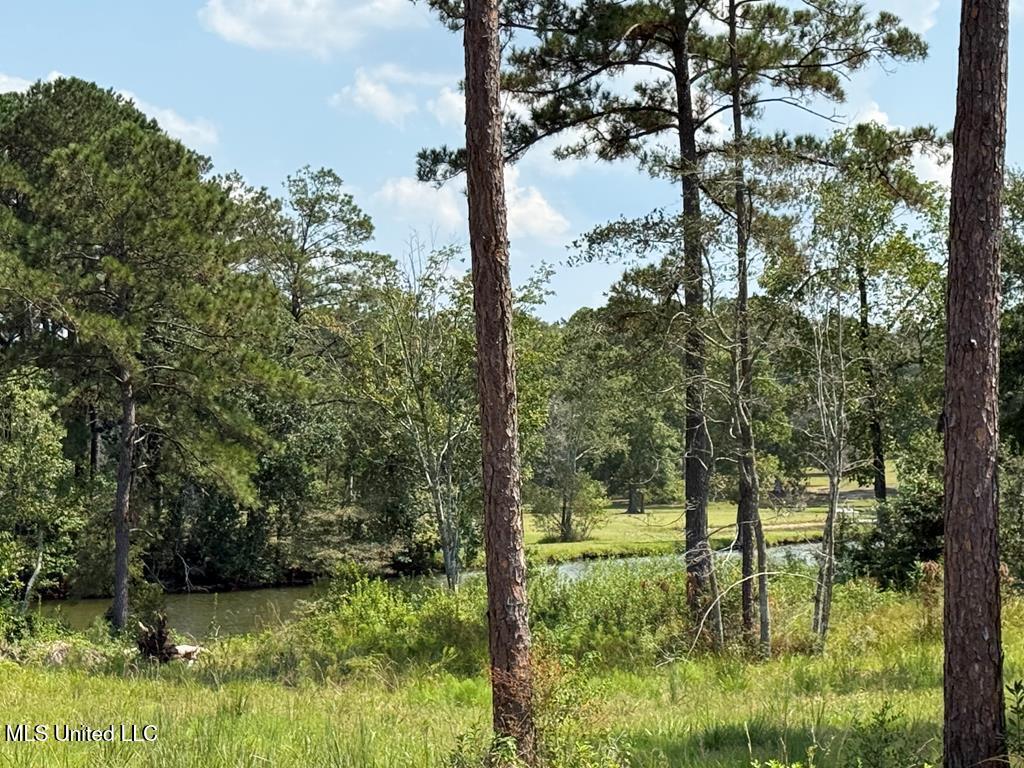 Cypress Place Perkinston, MS 39573 - Photo 10 of 18 cp13