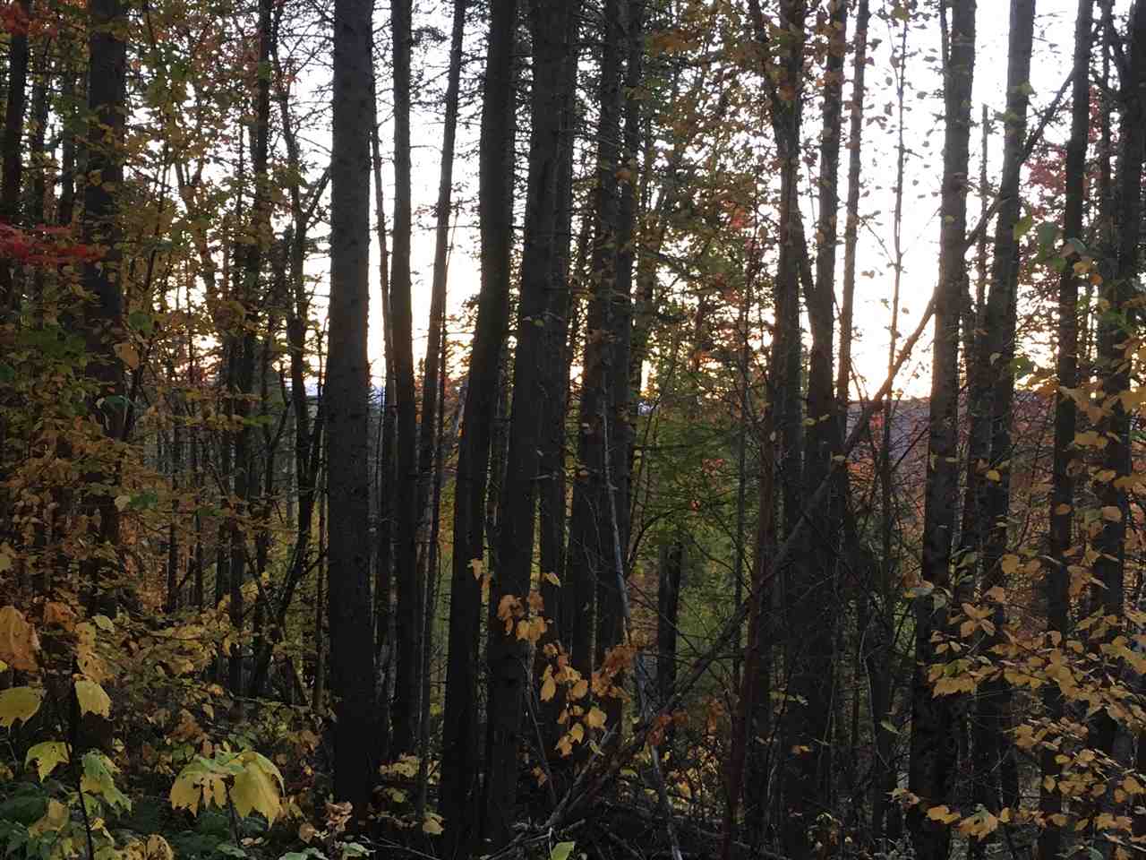 1 Valley Road Errol, NH 03579 - Photo 2 of 10