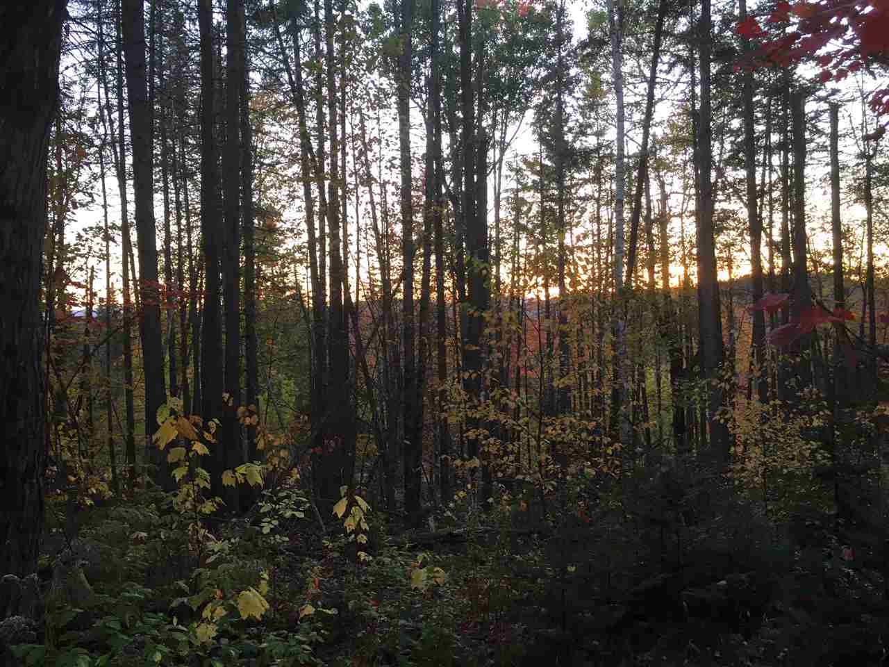 1 Valley Road Errol, NH 03579 - Photo 3 of 10