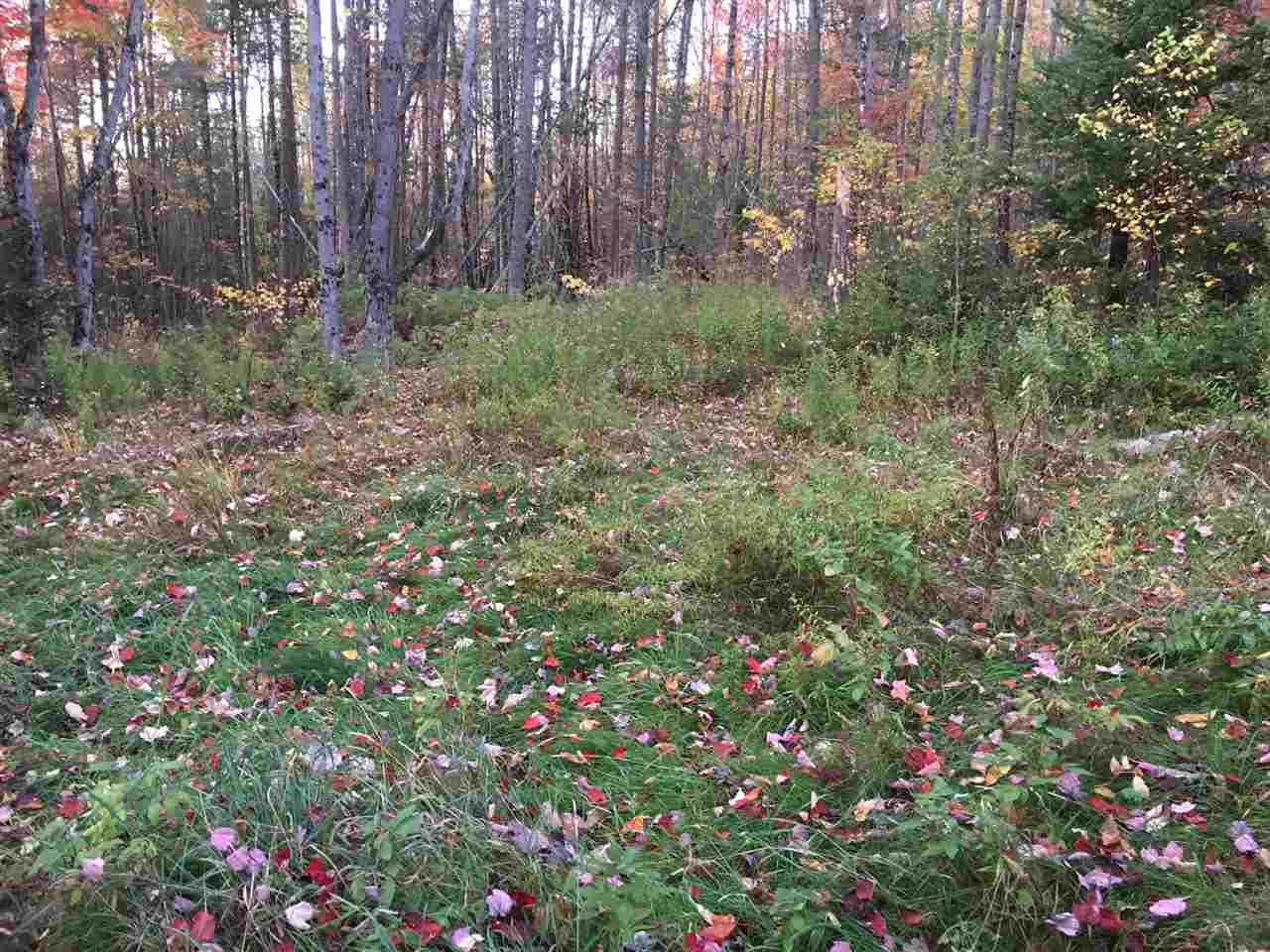 1 Valley Road Errol, NH 03579 - Photo 10 of 10
