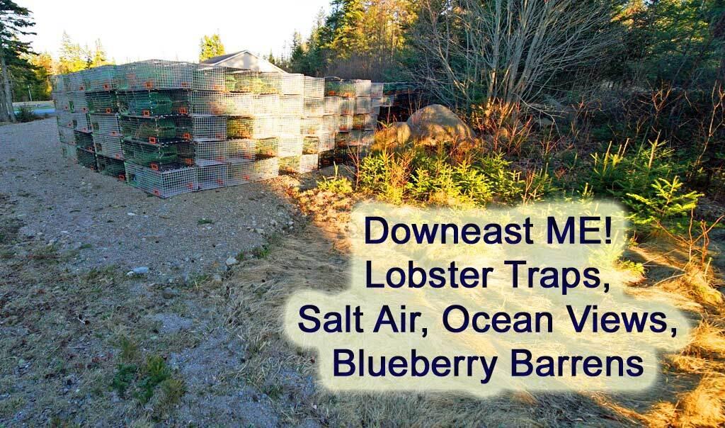 109 Little Machias Road Cutler, ME 04626 - Photo 74 of 93 downeast-maine-lobster-trap
