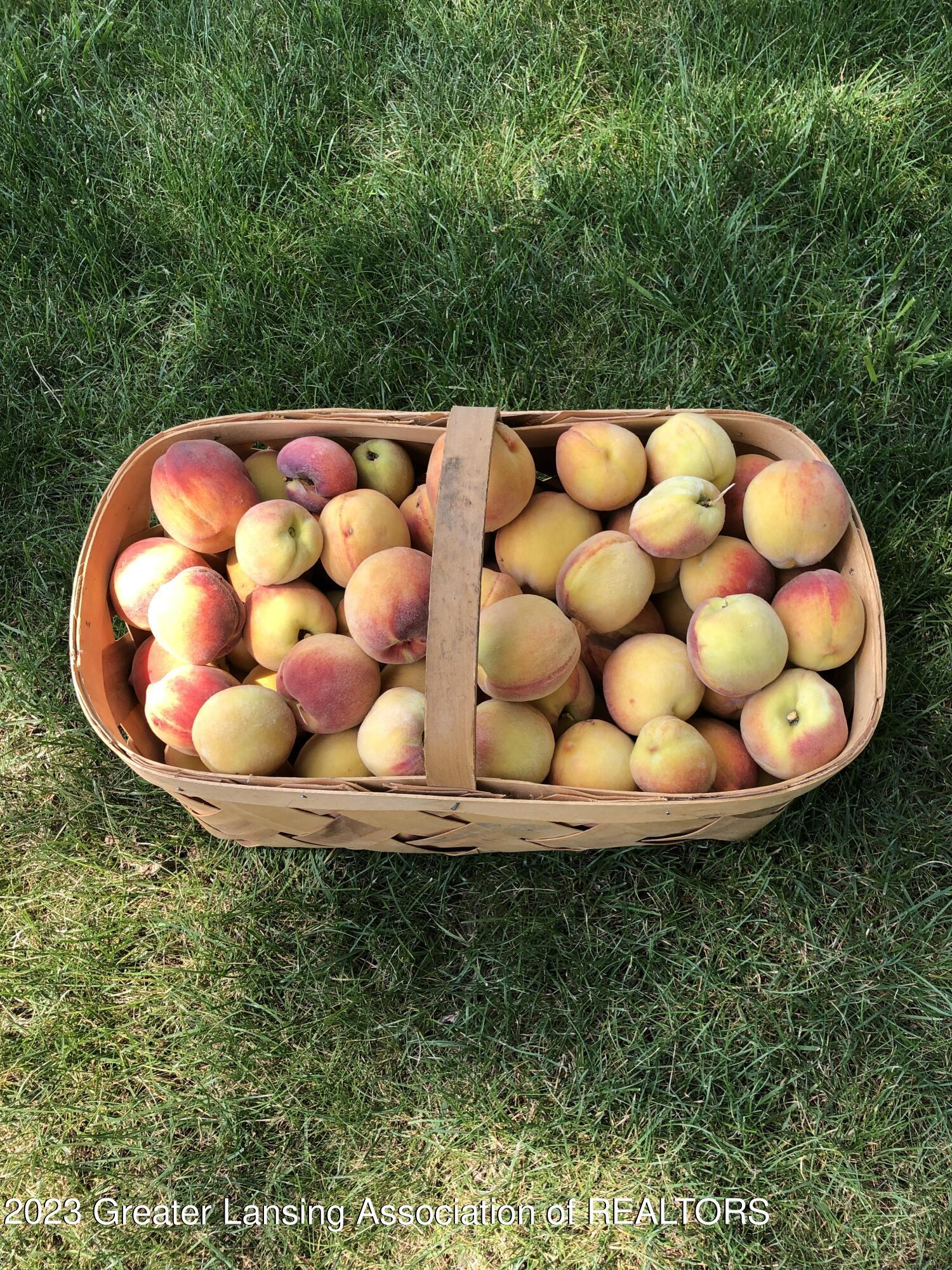 7866 East Greenfield Road Lansing, MI 48917 - Photo 48 of 50 Peaches