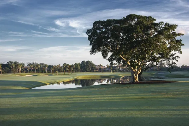 a view of a lake with a city