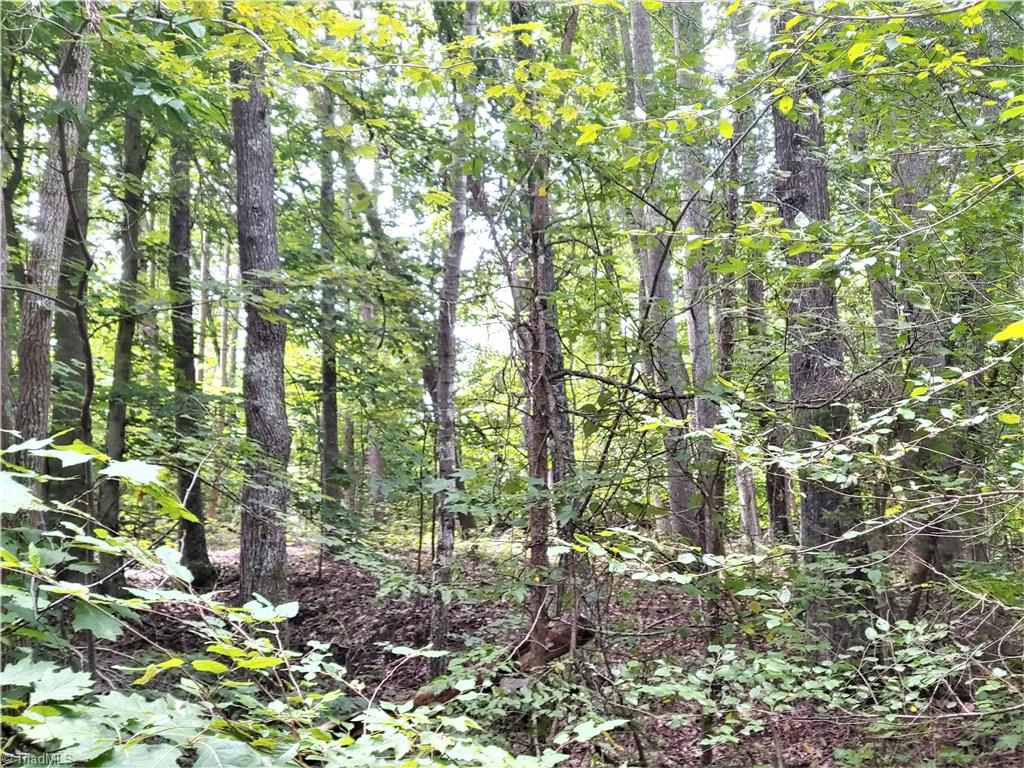 7808 Thomas Road Stokesdale, NC 27357 - Photo 8 of 12 Gallery Image 8