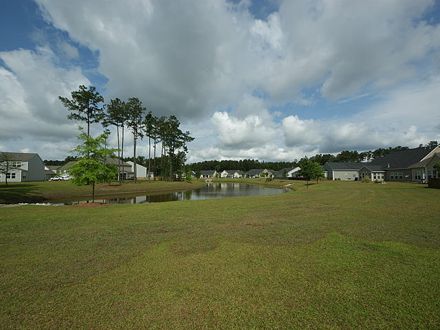 340 Decatur Drive Summerville, SC 29486 - Photo 46 of 51 47 Backyard view 9