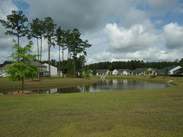 340 Decatur Drive Summerville, SC 29486 - Photo 47 of 51 48 Backyard view 10