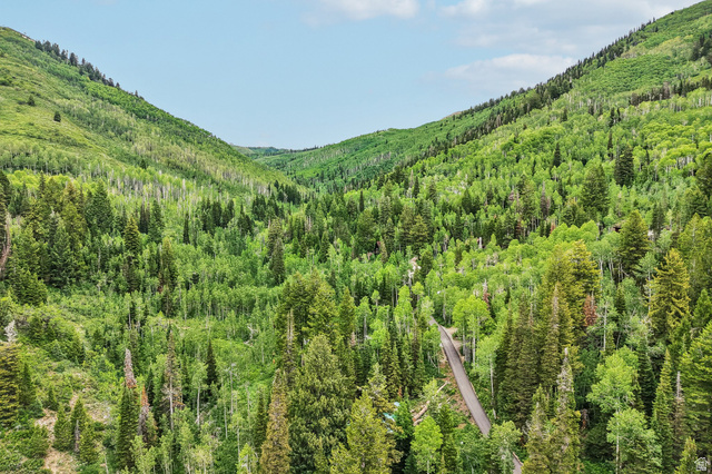 10205 East Moose Loop Road Salt Lake City, UT 84121 - Photo 46 of 50 Expansive mountain landscape featuring dense evergreen and deciduous trees, with a winding road traversing the valley