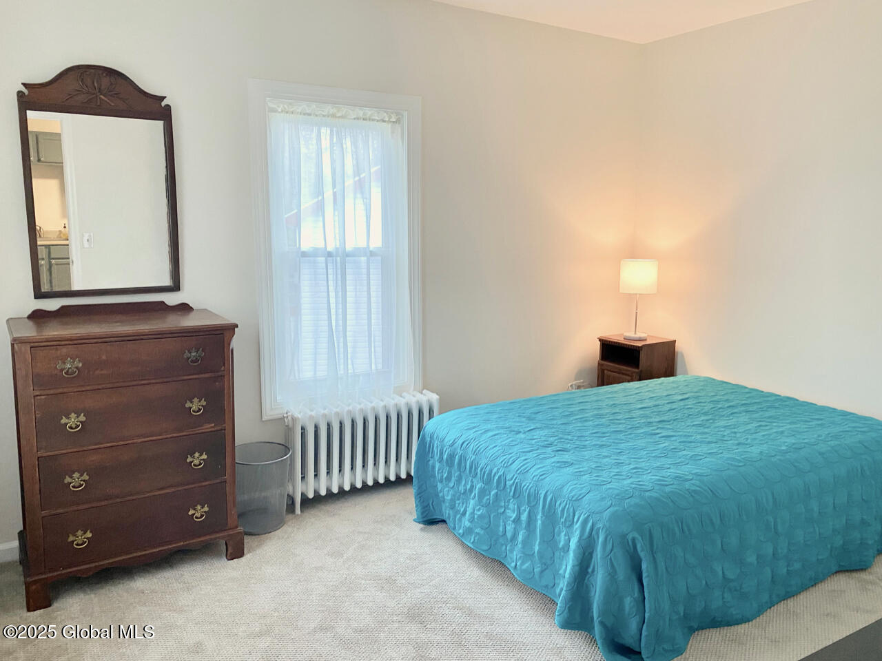 59 Van Dam Street, Unit 2 Saratoga Springs, NY 12866 - Photo 17 of 19 59VanDamStUnit2BackBR2