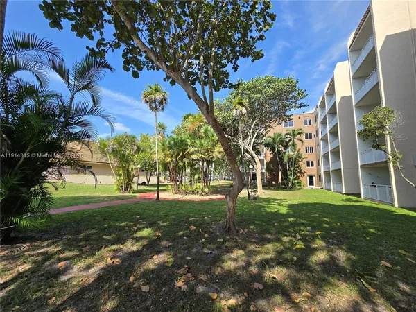 a view of a park with a tree